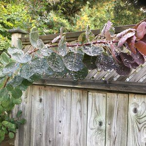 Meet your Posher, Jayme